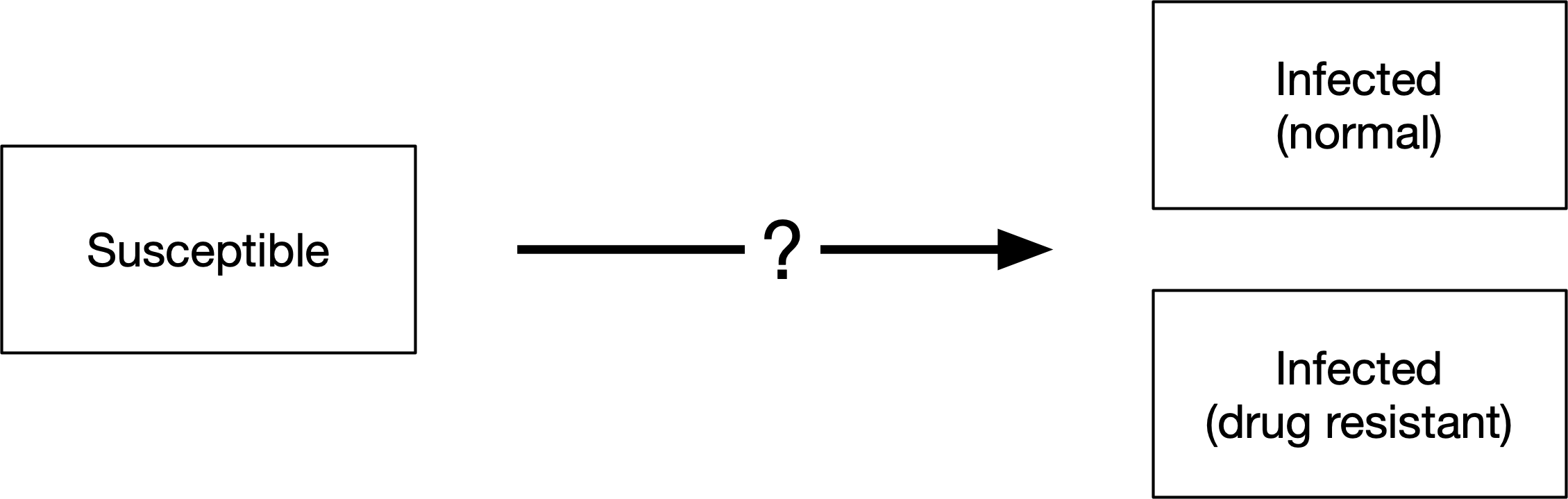 t5-junctions-1